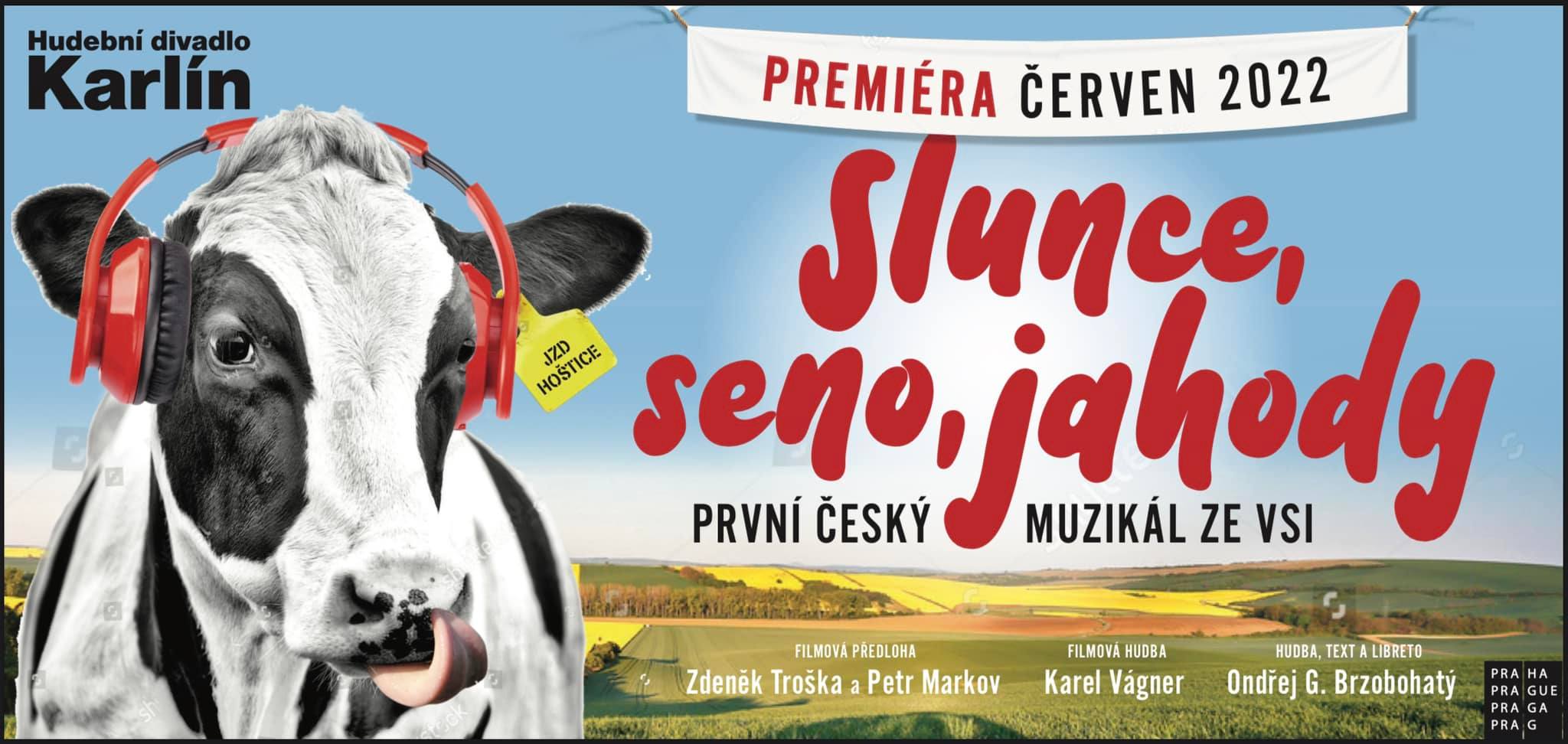 Muzikál Slunce, seno, jahody,